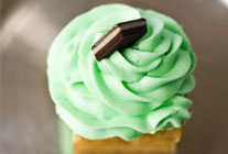 Aspen Mint Chocolate Chip (Wednesday)