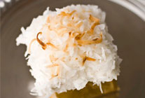 Palm Beach Coconut (Friday)