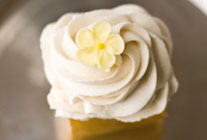 Nantucket Vanilla on Vanilla
