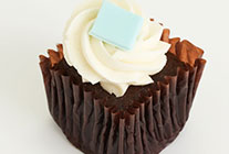 Bal Harbor Vanilla on Chocolate